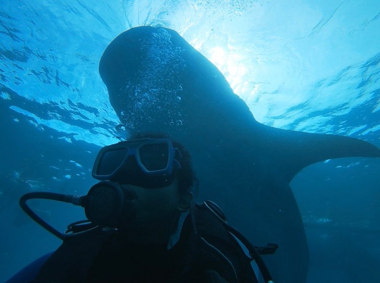 Live Love Laugh Like A&nbsp;Filipino..!!